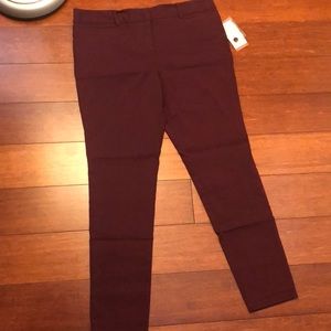 Maroon Dress Pants